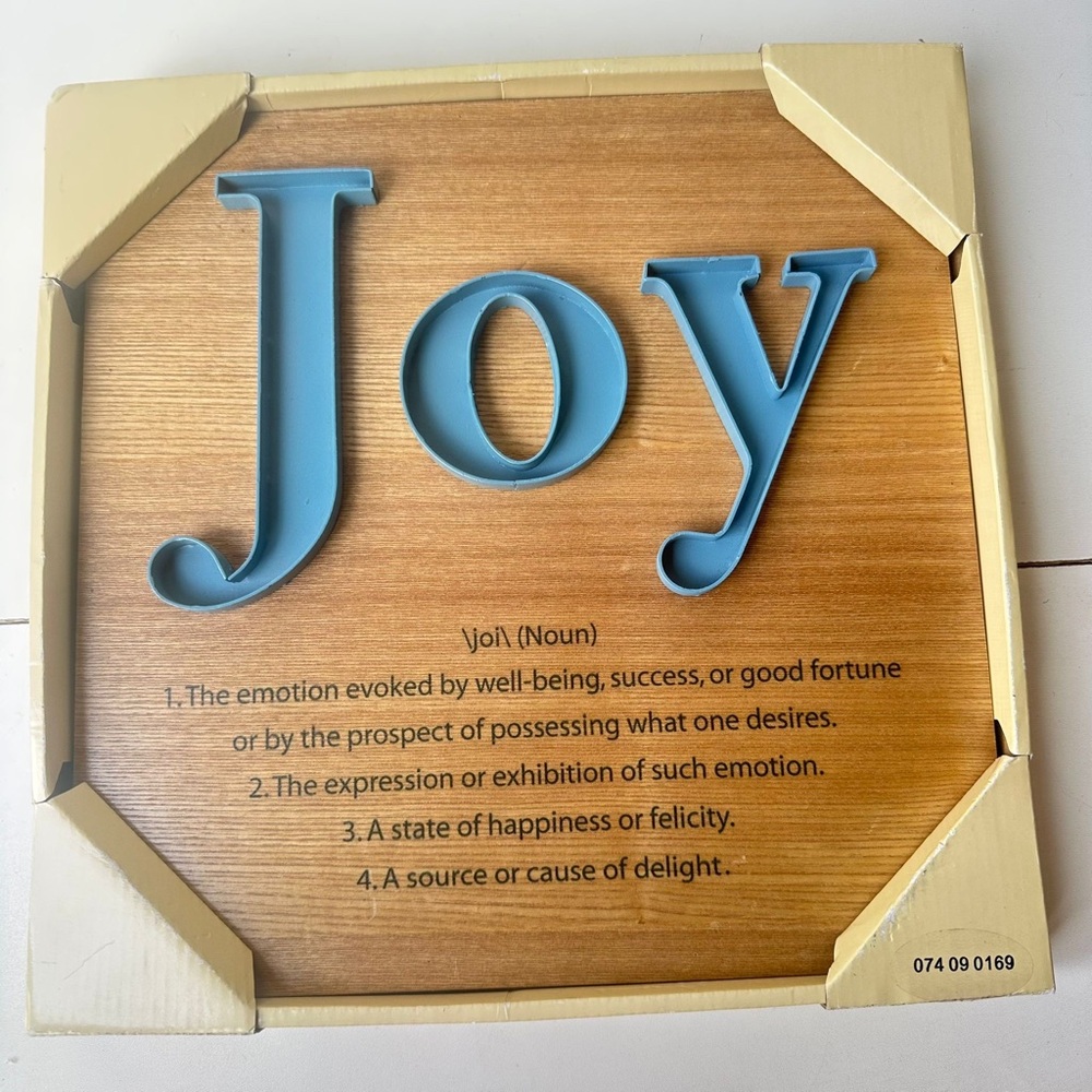 Joy Framed 3D Word Art  Inspirational Wall Decor Blue Brown Joy Definition